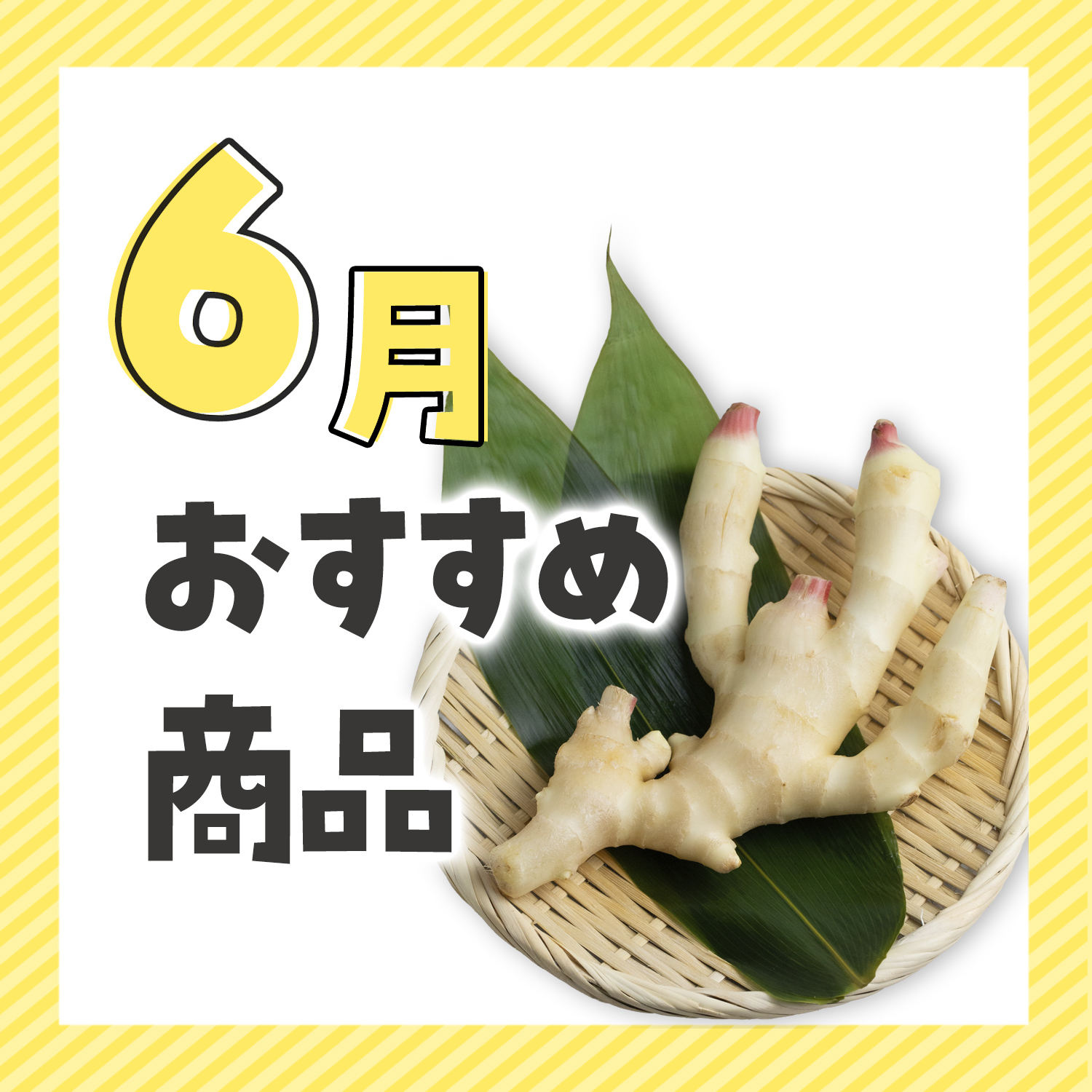 6月おすすめ『新生姜』 | べニーズキッチン